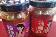 神田小爽出装攻略—掌握正确装备选择的关键（如何根据局势合理搭配装备，让神田小爽更具威力？）