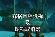 成为高效盗贼的攻略（掌握关键技巧，最大化盗贼能力）